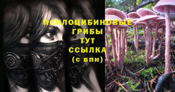 МДМА Алексеевка