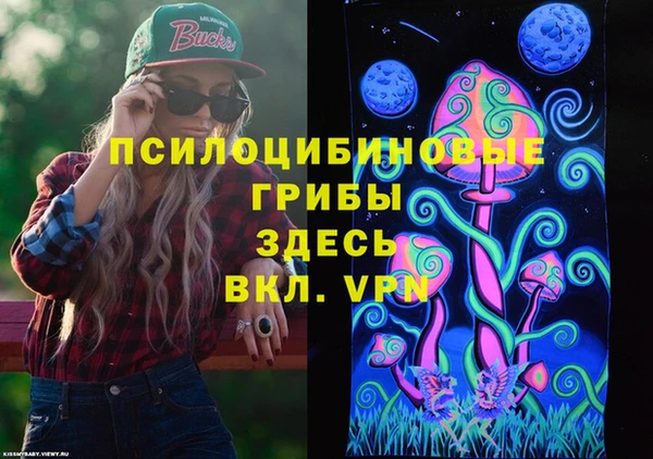 крисы Алексин