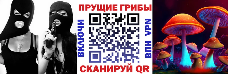 Псилоцибиновые грибы GOLDEN TEACHER Махачкала